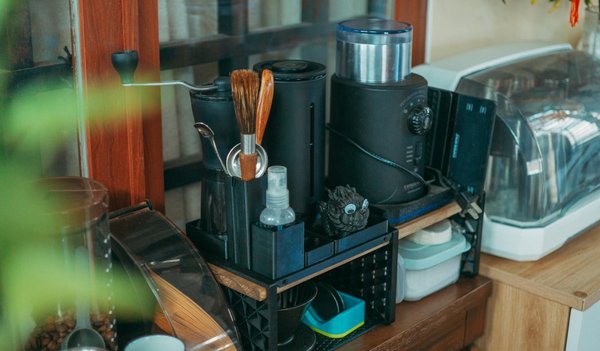 Effective techniques for protecting delicate alpine flora from severe winter frosts in the uk